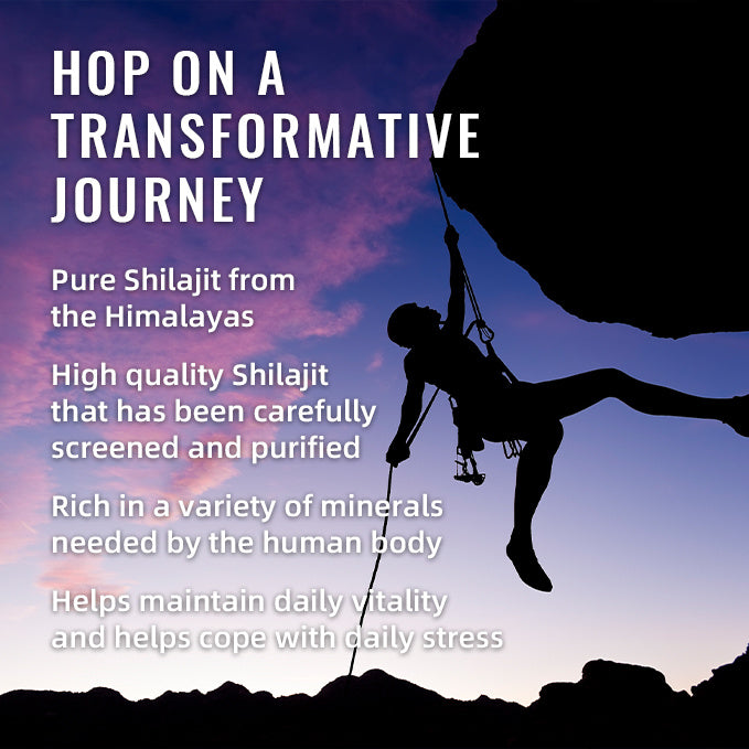 BSYS SHILAJIT GUMMIES (60) - Concordia Style Boutique
