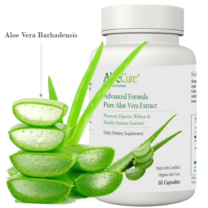 AloeCure Advanced Formula Aloe Capsules - Concordia Style Boutique