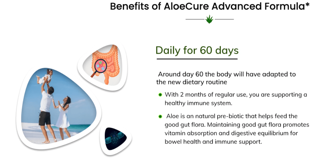 AloeCure Advanced Formula - Concordia Style Boutique