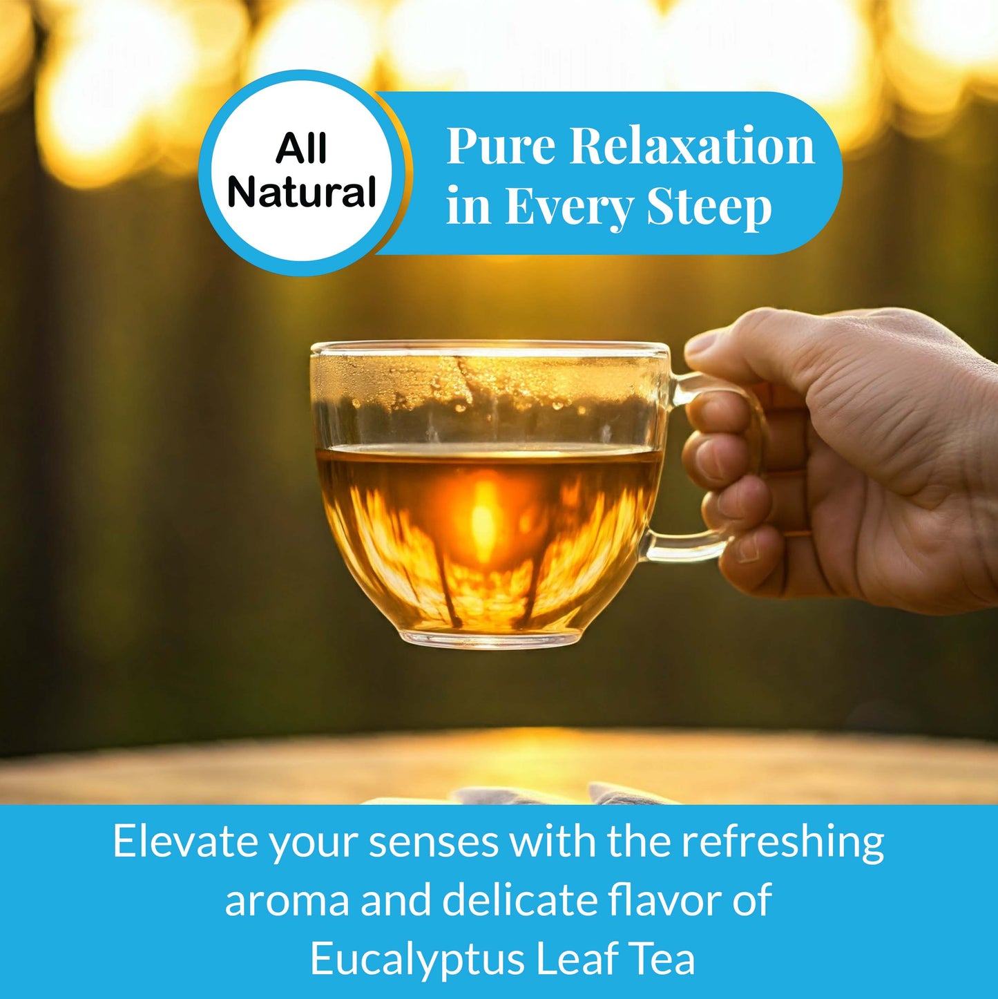 Akshit Eucalyptus Tea Bags - 75 Bags, Pure Eucalyptus Leaves,(te de eucalyptus) Caffeine-Free Herbal Tea, 5oz, Te De Eucalipto