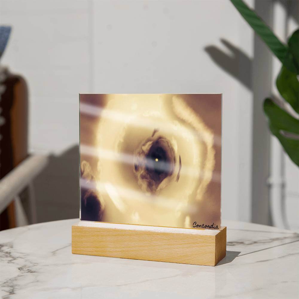 The Eye - Square Acrylic Plaque with LED Wooden Base - Concordia Style Boutique