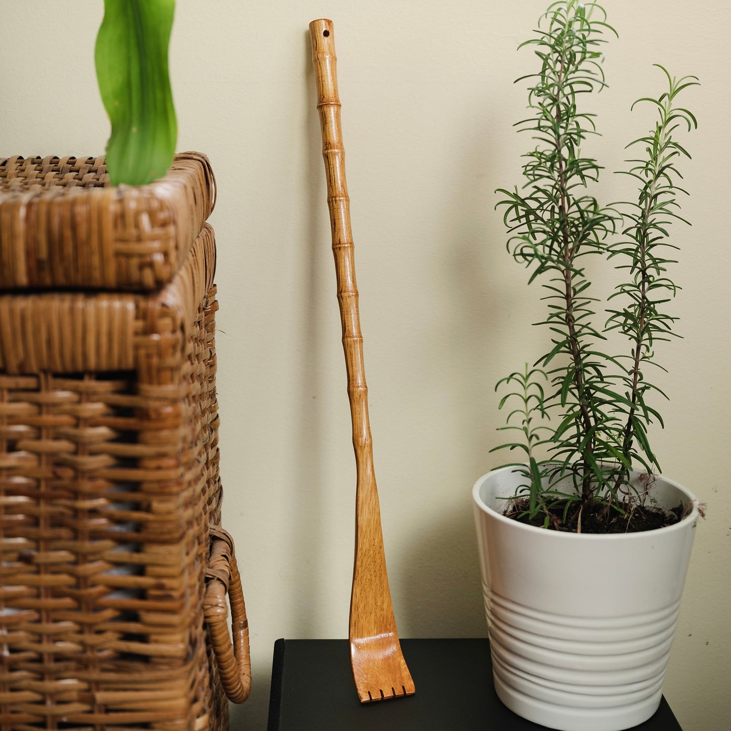 Bamboo Backscratcher - Concordia Style Boutique
