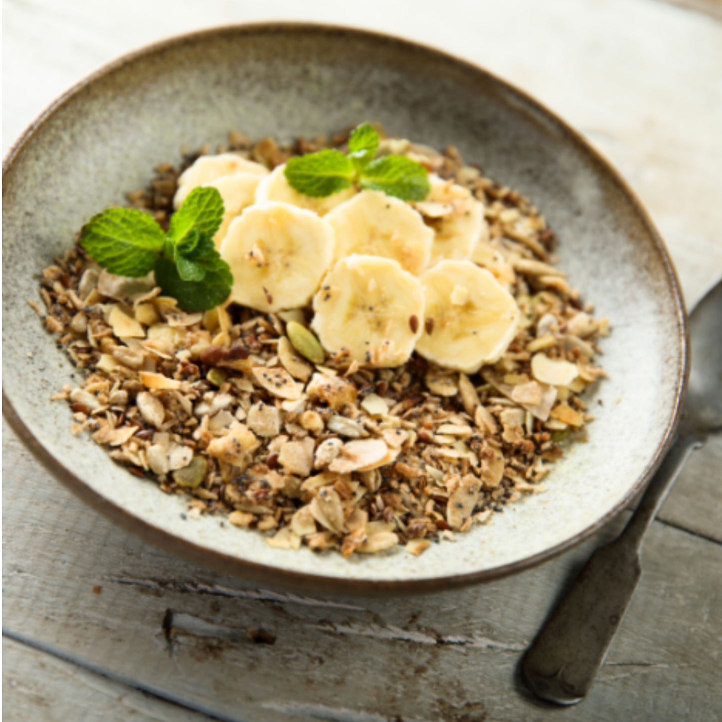 Bananas Freeze Dried - #10 Can - Concordia Style Boutique
