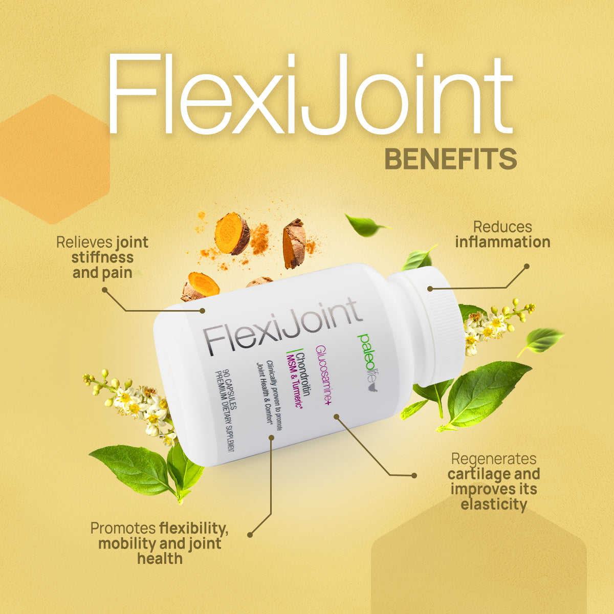 Flexijoint: Glucosamine + Chondroitin + MSM - Concordia Style Boutique