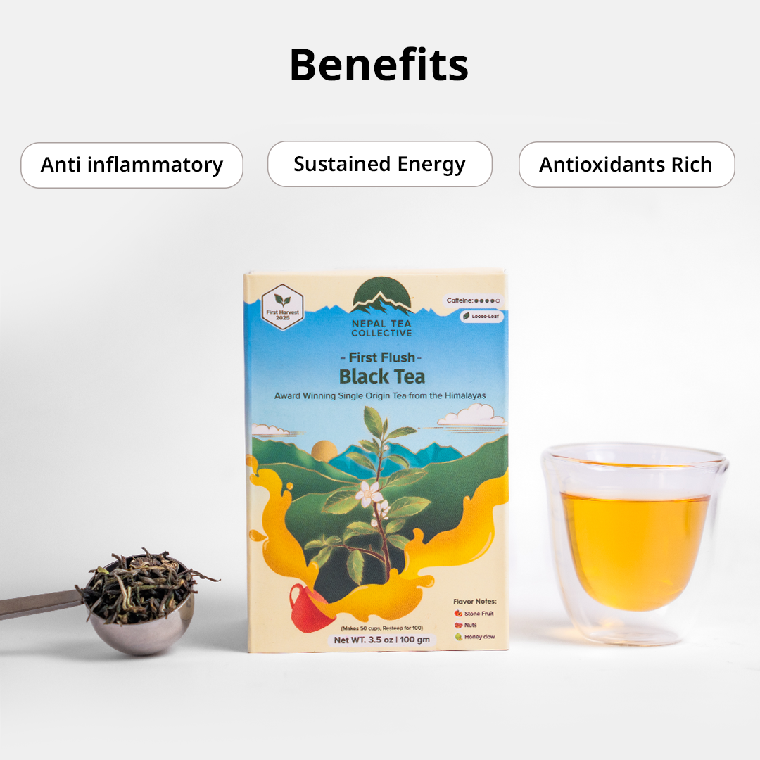 First Flush Black Tea - Concordia Style Boutique
