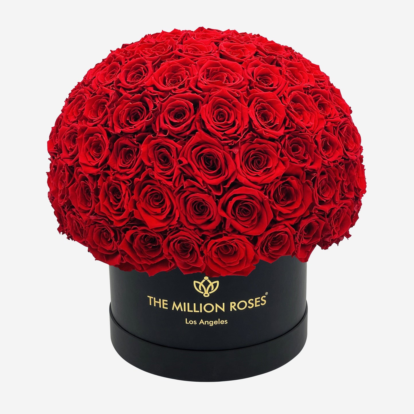 Supreme Black Superdome Box | Red Roses