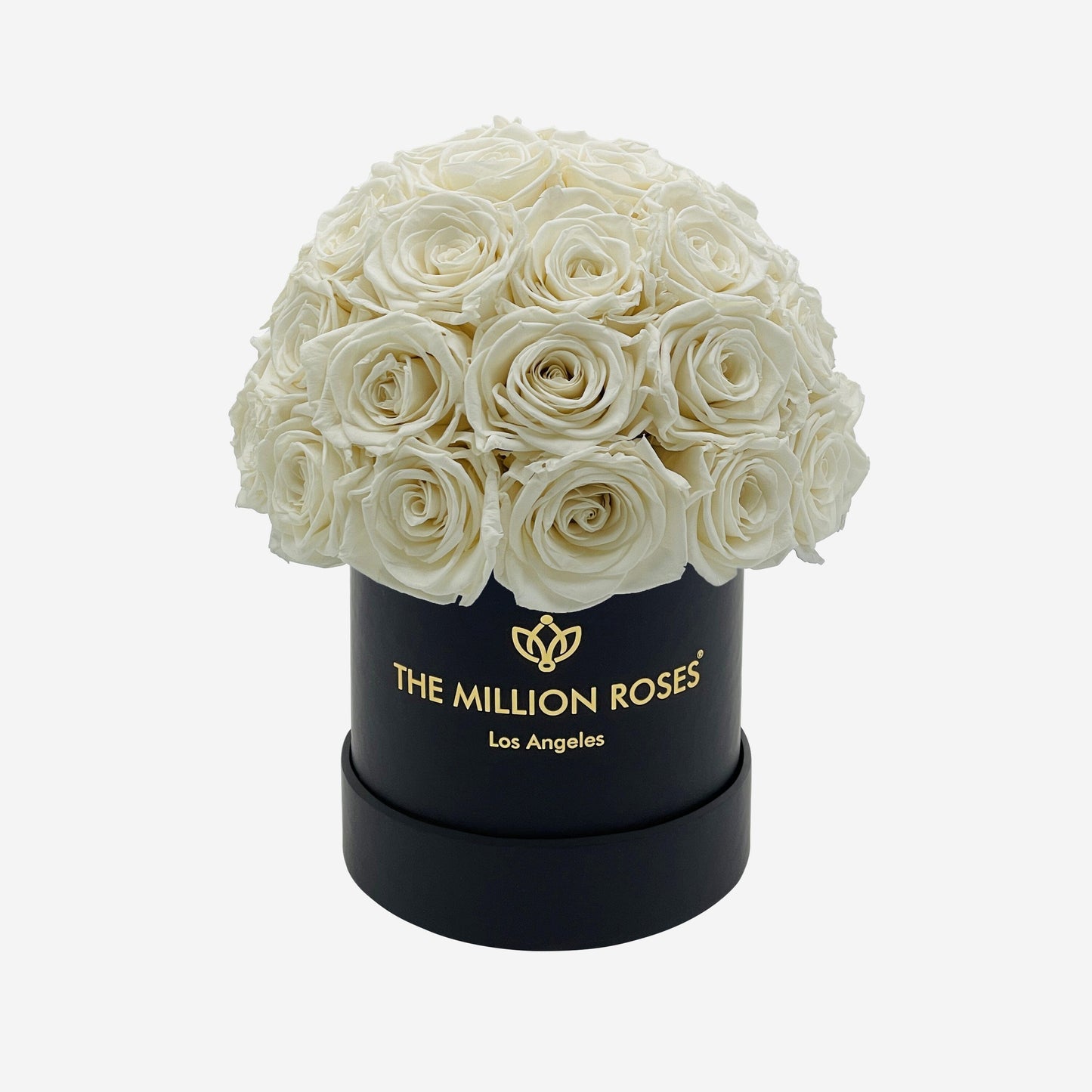 Basic Black Superdome Box | White Roses