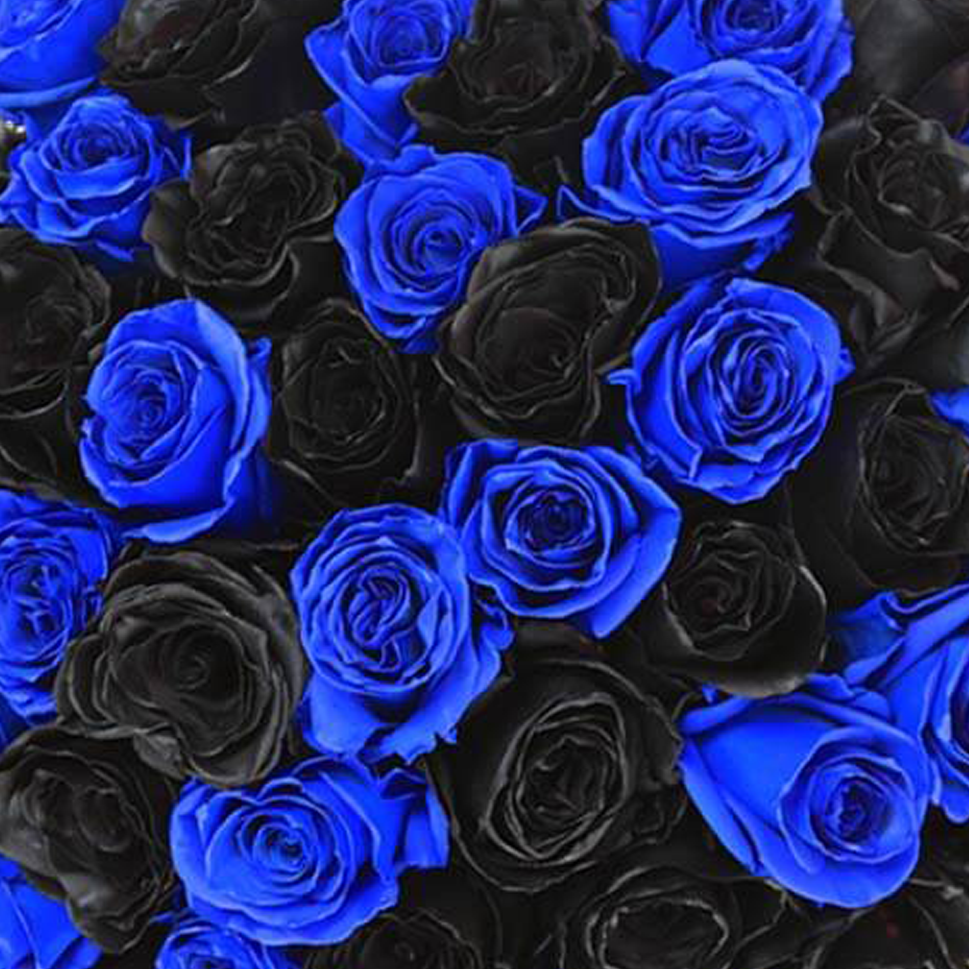 BLACK & BLUE