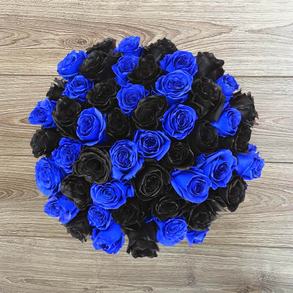 BLACK & BLUE