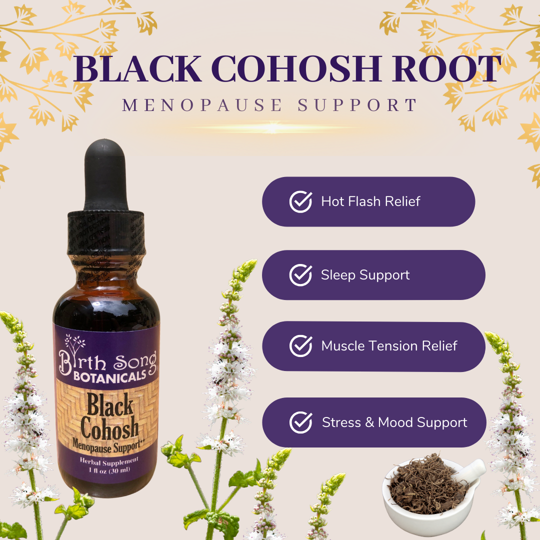 Black Cohosh Root Tincture for Hot Flash, Sleep and Menopause Support* - Concordia Style Boutique