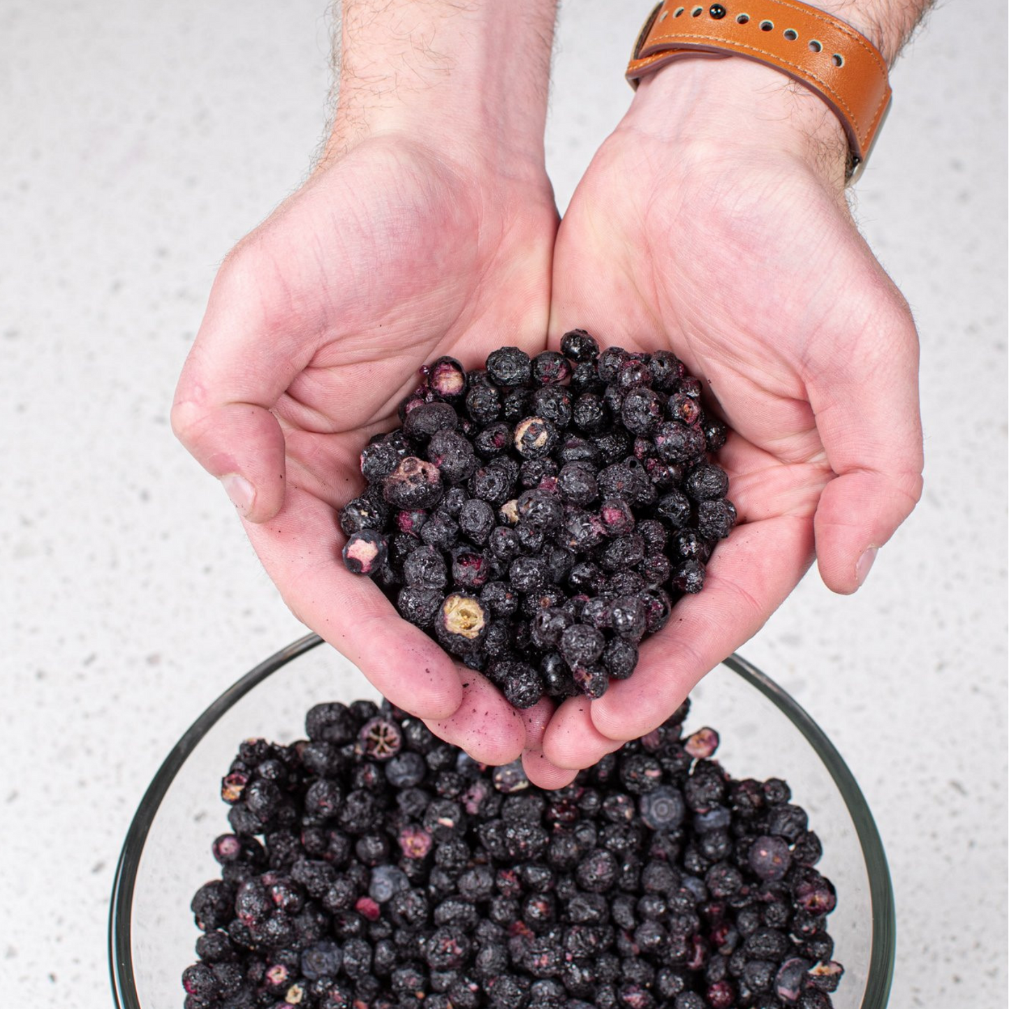 Blueberries Freeze Dried - #10 Can - Concordia Style Boutique