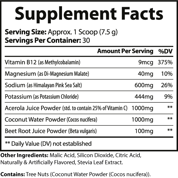 Blue Raspberry Electrolyte Hydration – Sugar-Free | Refreshing & Rapid Rehydration Formula - Concordia Style Boutique
