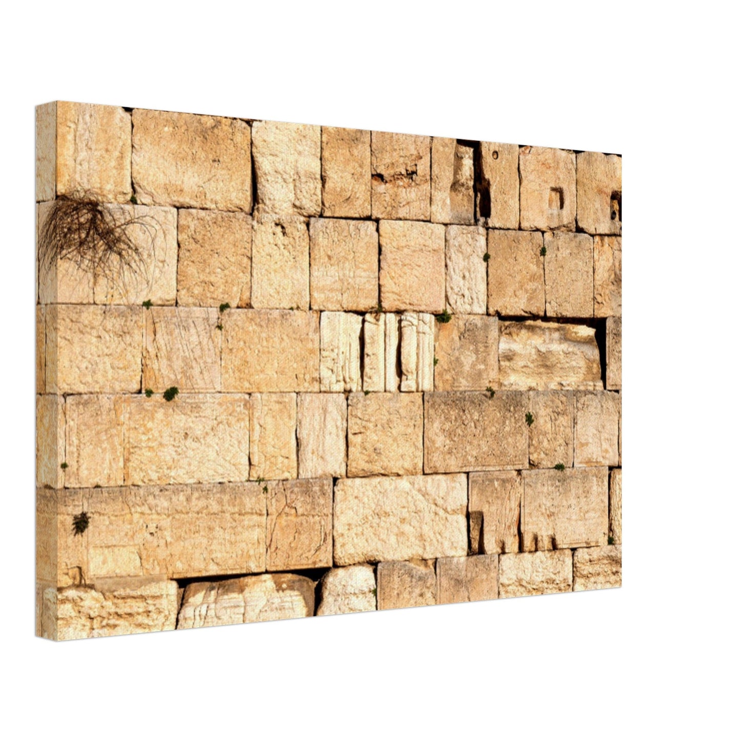 The Western Wall Brick Canvas Print