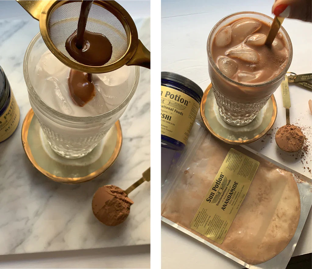 Reishi Mushroom Powder (Organic) - Concordia Style Boutique