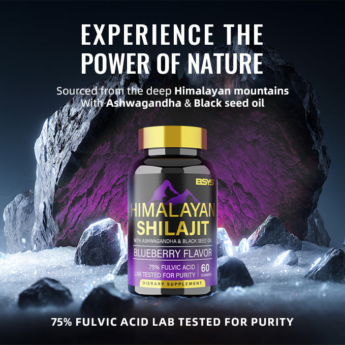 BSYS SHILAJIT GUMMIES (60) - Concordia Style Boutique