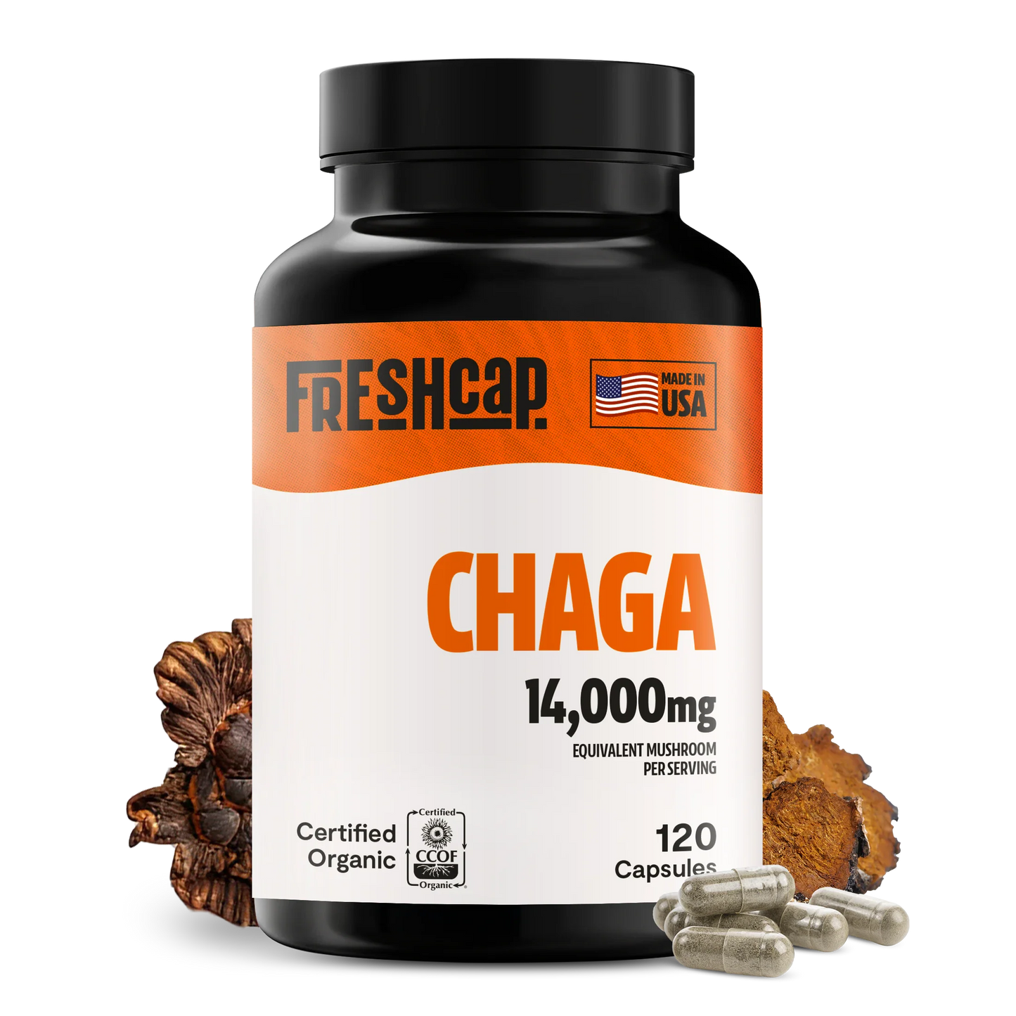 Chaga Mushroom Extract Capsules - Concordia Style Boutique