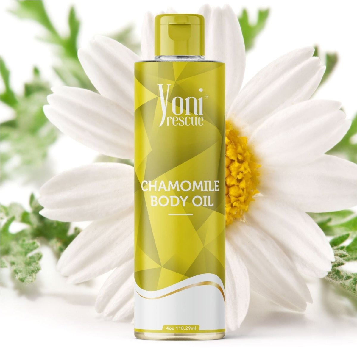 Chamomile Body Oil