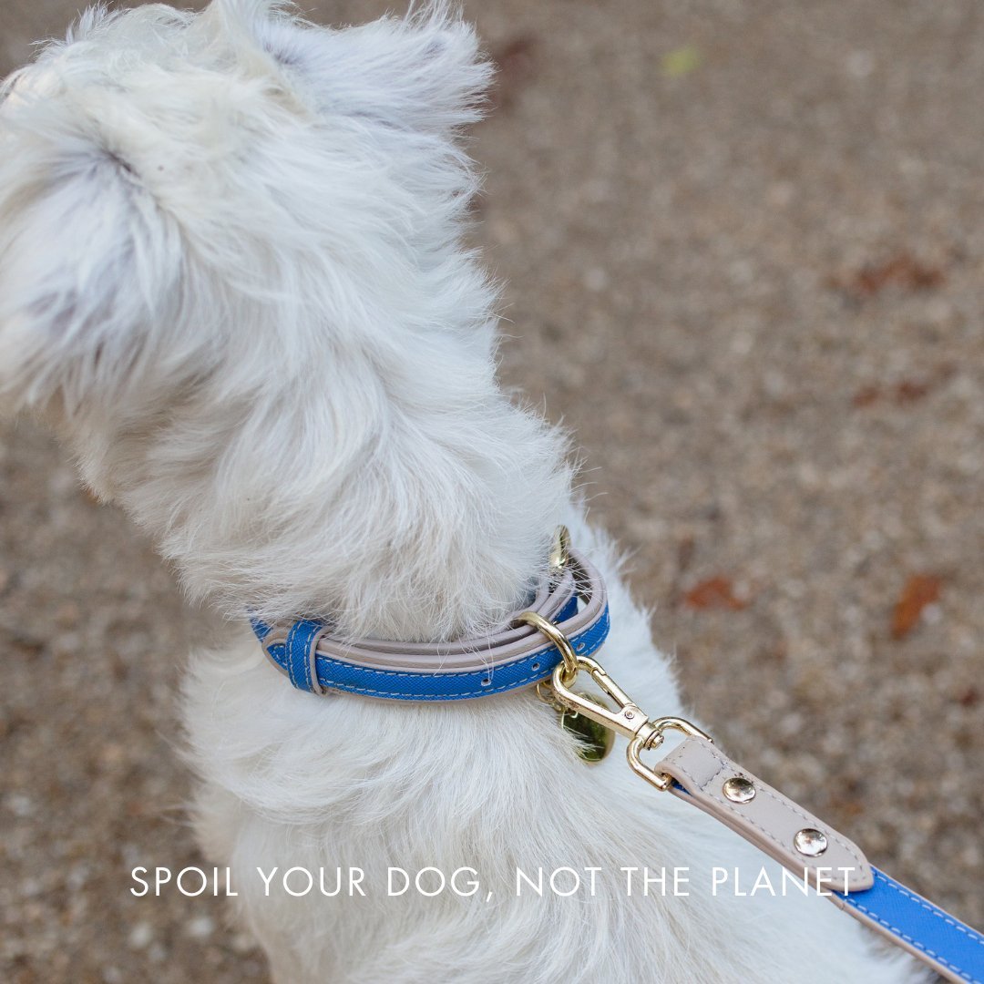 Collar - Vegan Leather