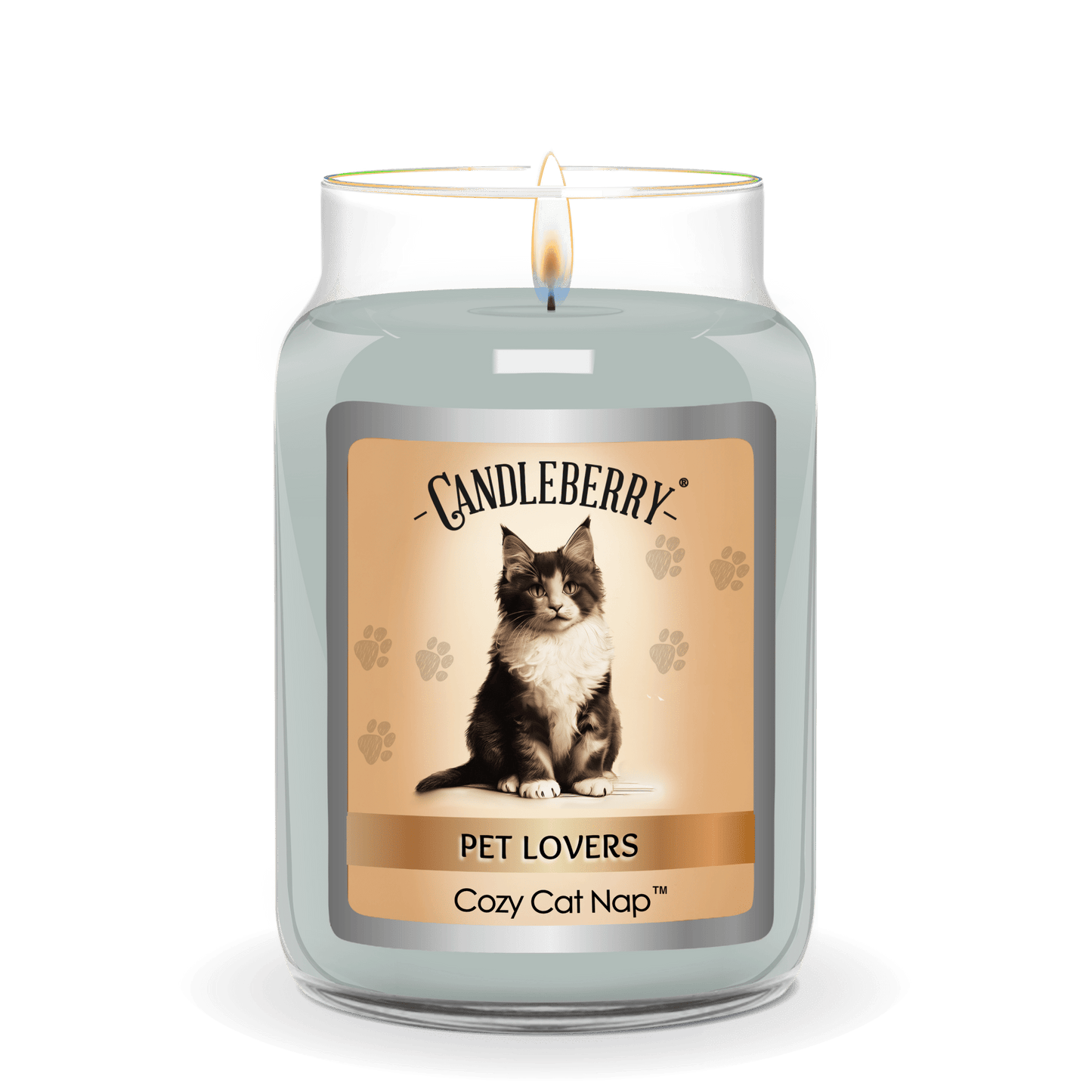 Cozy Cat Nap - Large Jar Candle (Collective) - Concordia Style Boutique