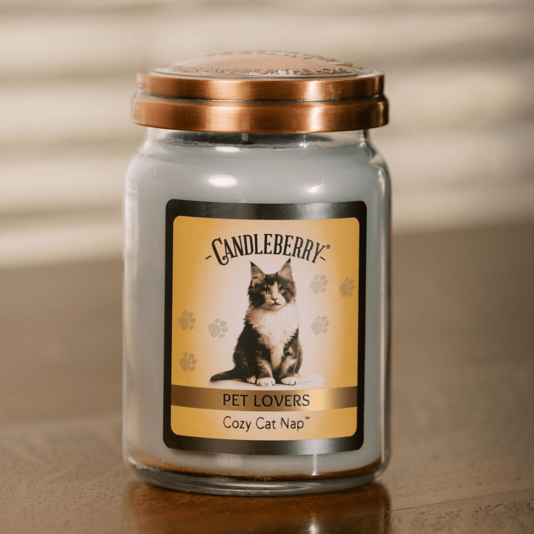 Cozy Cat Nap - Large Jar Candle (Collective) - Concordia Style Boutique
