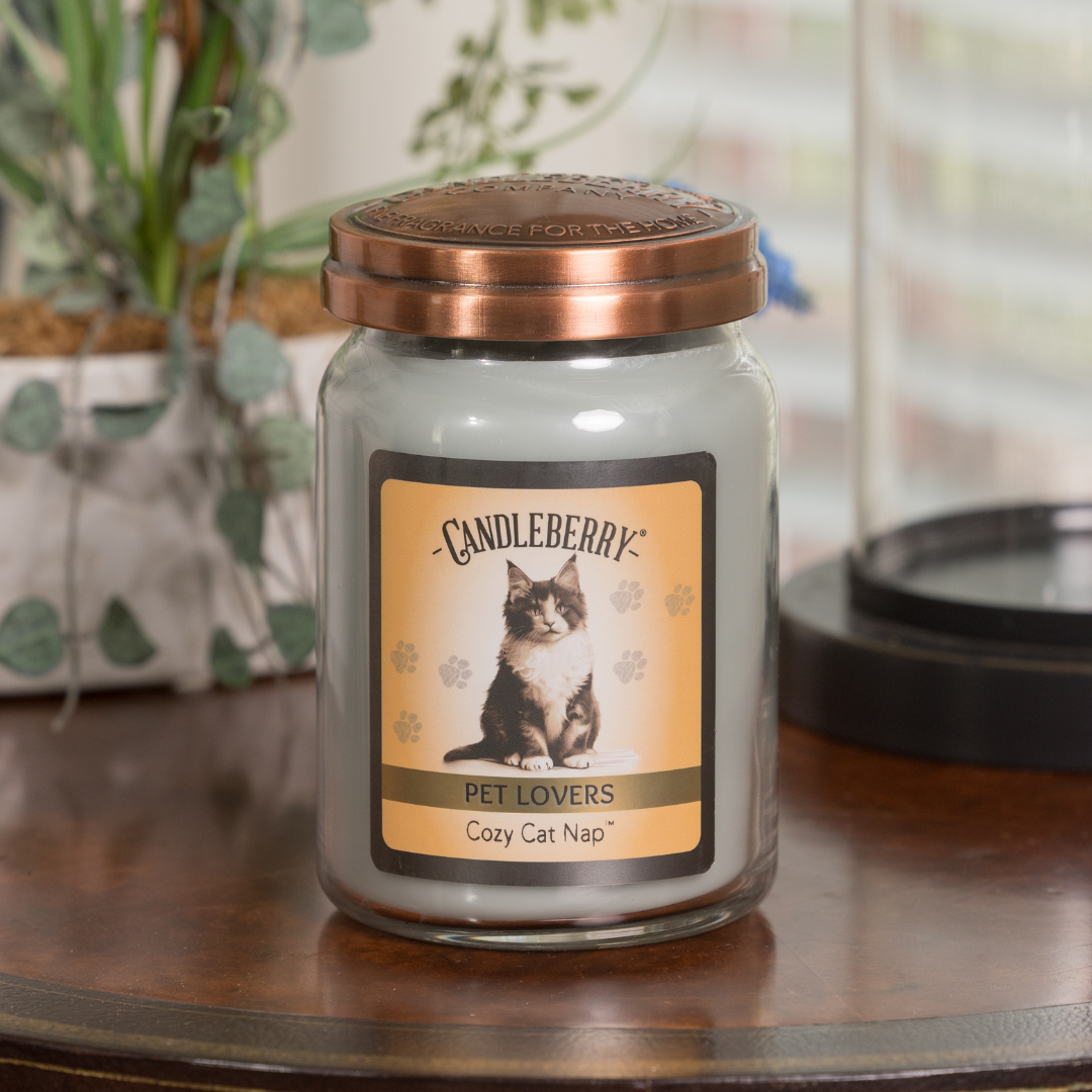 Cozy Cat Nap - Large Jar Candle (Collective) - Concordia Style Boutique