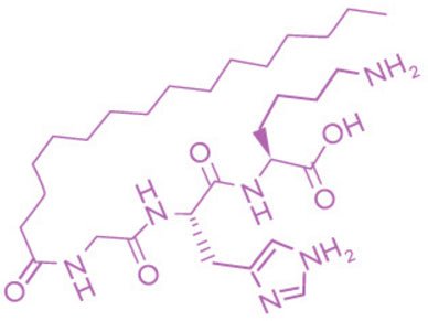 Organic Vitamin A Microcaps Night Cream – Skin Brightener & Age-Defying Formula - Concordia Style Boutique