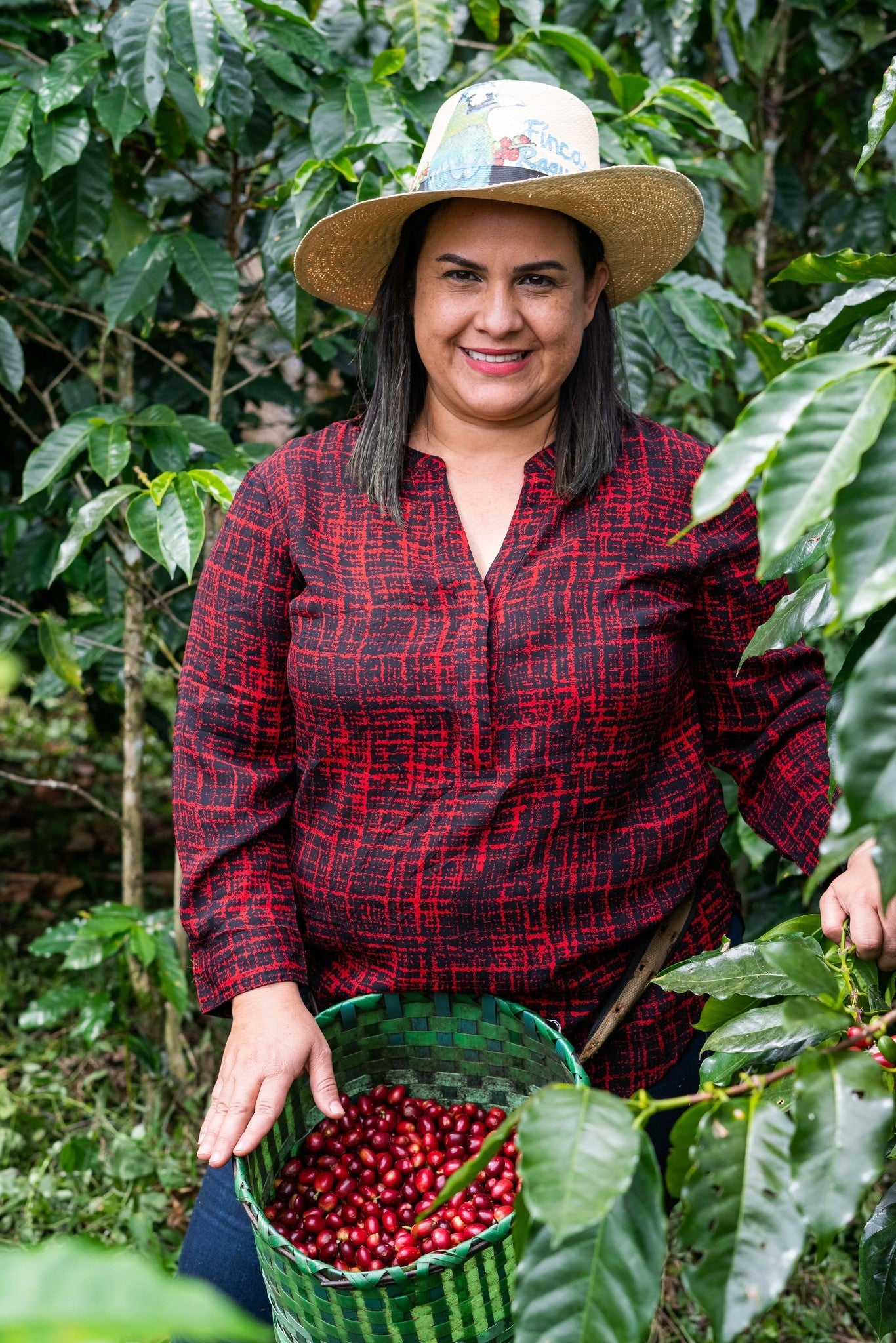 Honduran Parainema Coffee - 6-pack - 4.5lb - Concordia Style Boutique
