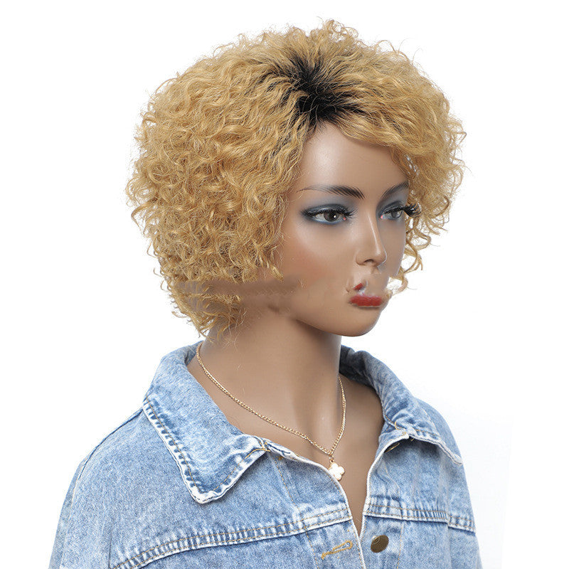 Small Curly Real Hair Wig, Gradual Fluffy Head High-end - Concordia Style Boutique
