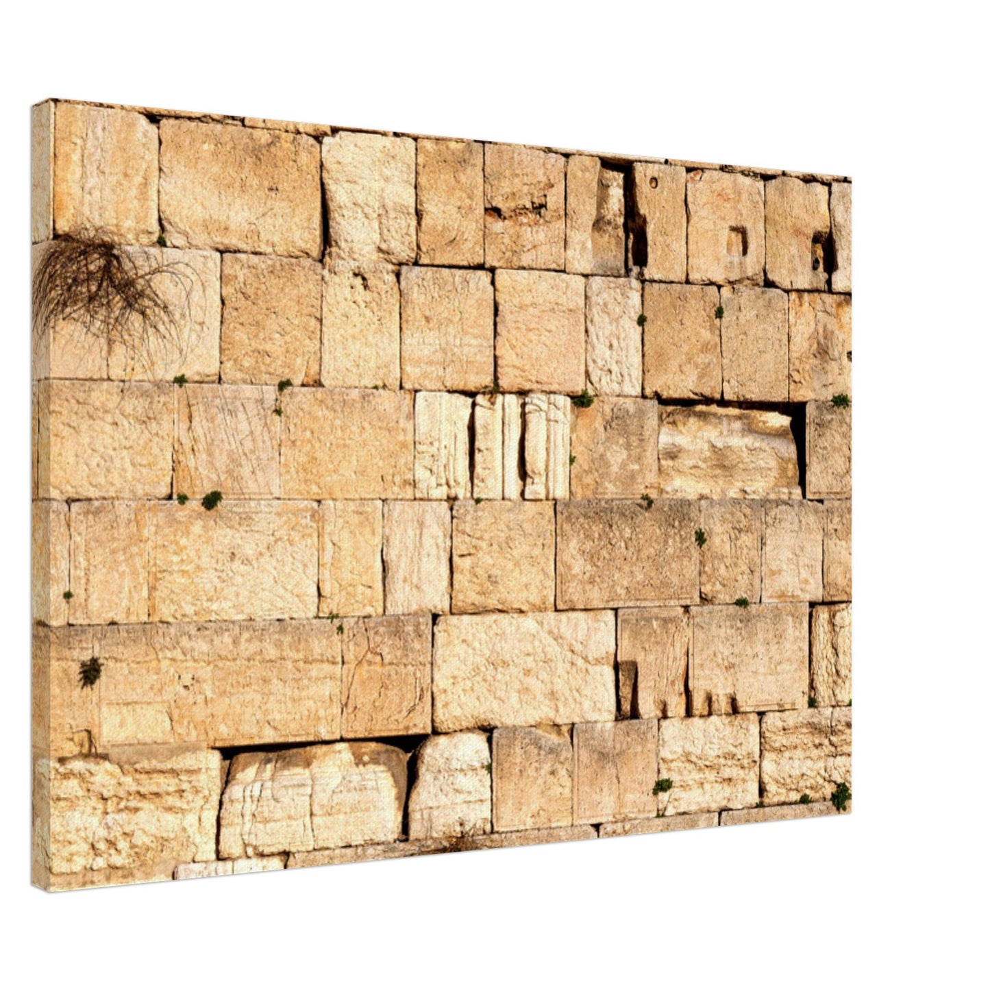 The Western Wall Brick Canvas Print