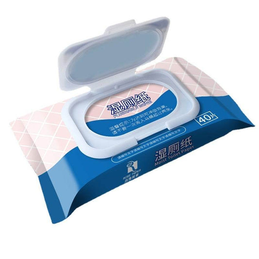 Biodegradable Toilet Cleaning Wet Towel - Concordia Style Boutique