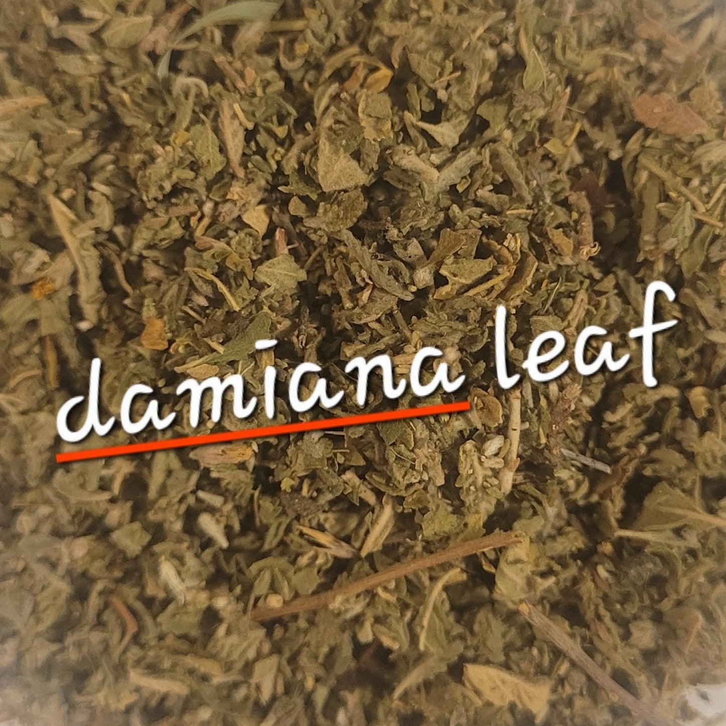 Damiana | Mood Uplift & Passion Tonic