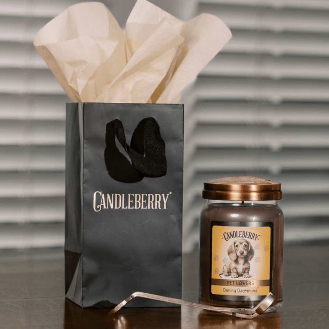 Darling Dachshund - Large Jar Candle (Collective) - Concordia Style Boutique
