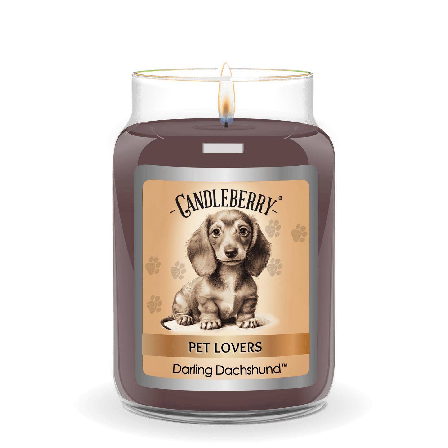 Darling Dachshund - Large Jar Candle (Collective) - Concordia Style Boutique