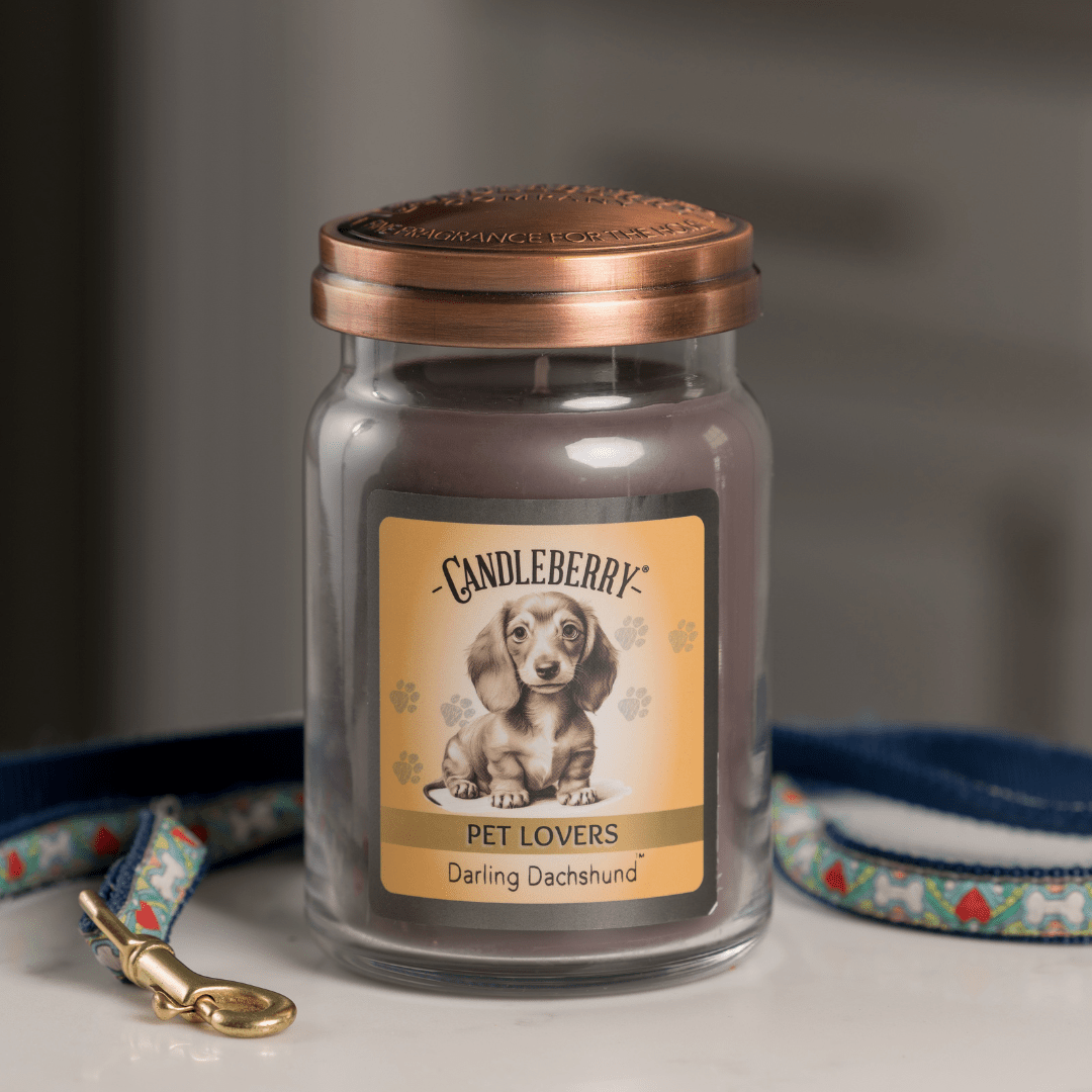 Darling Dachshund - Large Jar Candle (Collective) - Concordia Style Boutique
