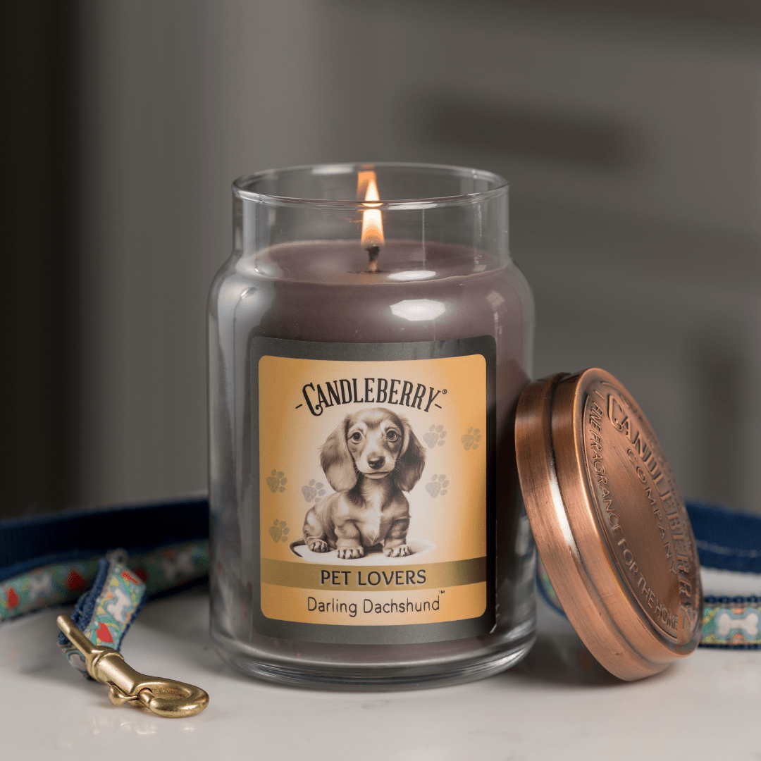 Darling Dachshund - Large Jar Candle (Collective) - Concordia Style Boutique