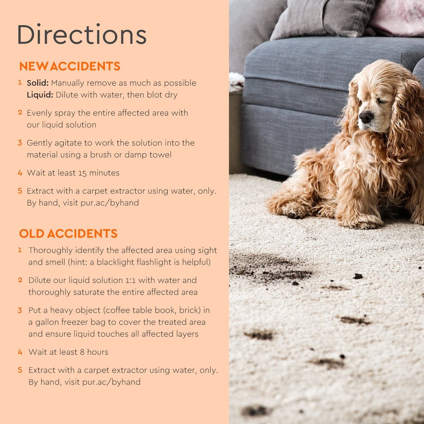 Pet Stain & Odor Remover - Concordia Style Boutique