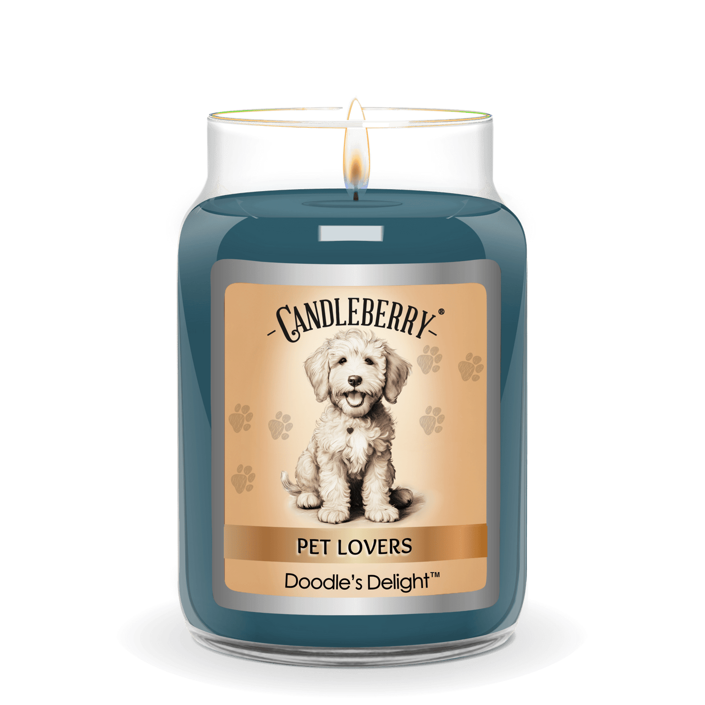 Doodle's Delight - Large Jar Candle (Collective) - Concordia Style Boutique