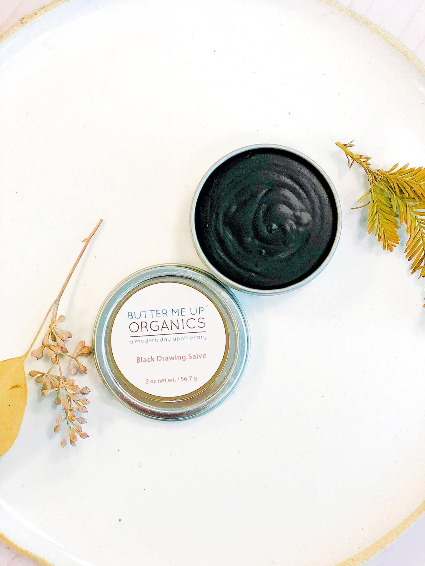 Organic Black Drawing Salve / Bee Stings / Rashes / Skin Ailments / Organic Skincare - Concordia Style Boutique