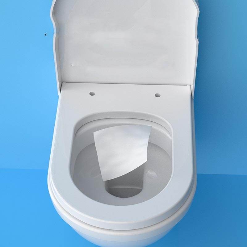 Biodegradable Toilet Cleaning Wet Towel - Concordia Style Boutique