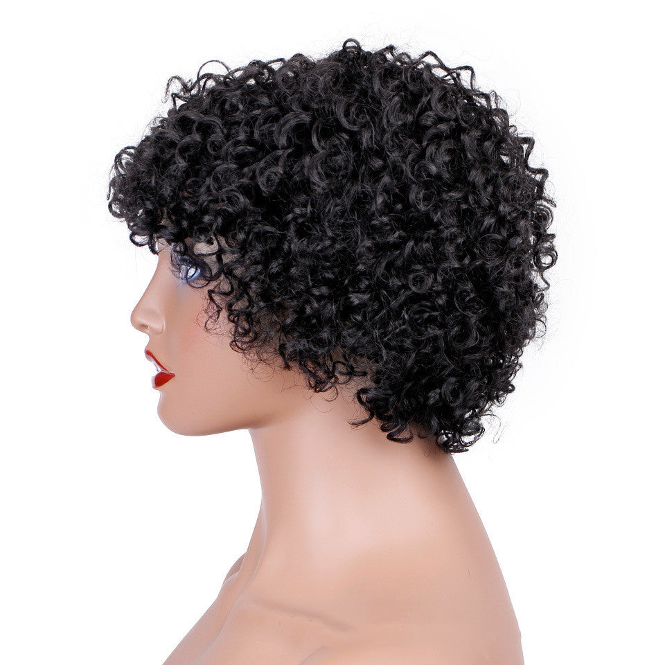 Short Curly Hair Wig - Real Human Hair - Concordia Style Boutique