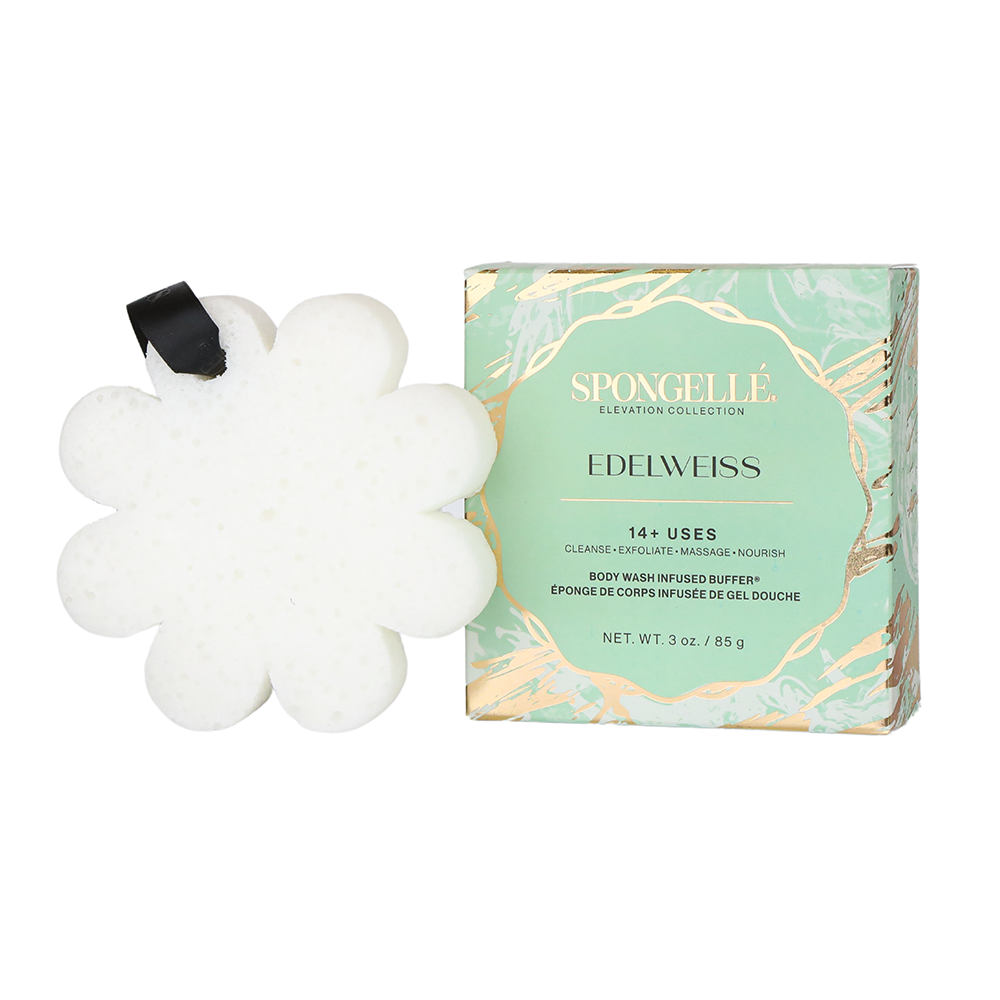 Edelweiss | Elevation Boxed Flower - Concordia Style Boutique
