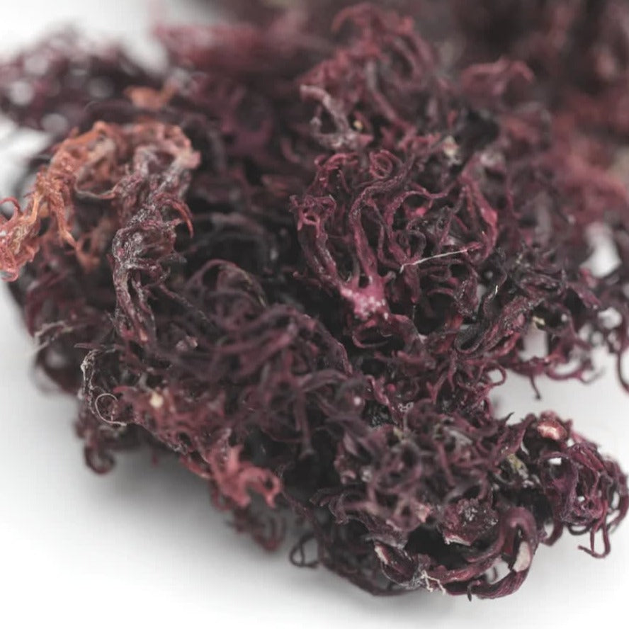 Exclusive Purple Sea Moss Gel - Full Spectrum - Concordia Style Boutique
