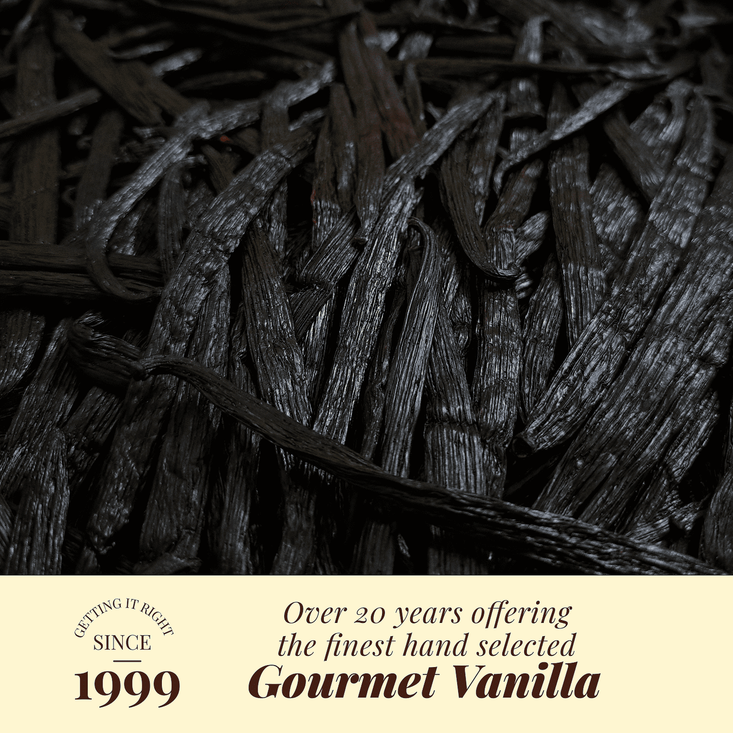 Whole Bulk Vanilla Beans - Order - NON GMO Gourmet Vanilla Pods 6 - 8 Inches For making Baking Whole Premium Vanilla Beans Grade A by New York Vanilla