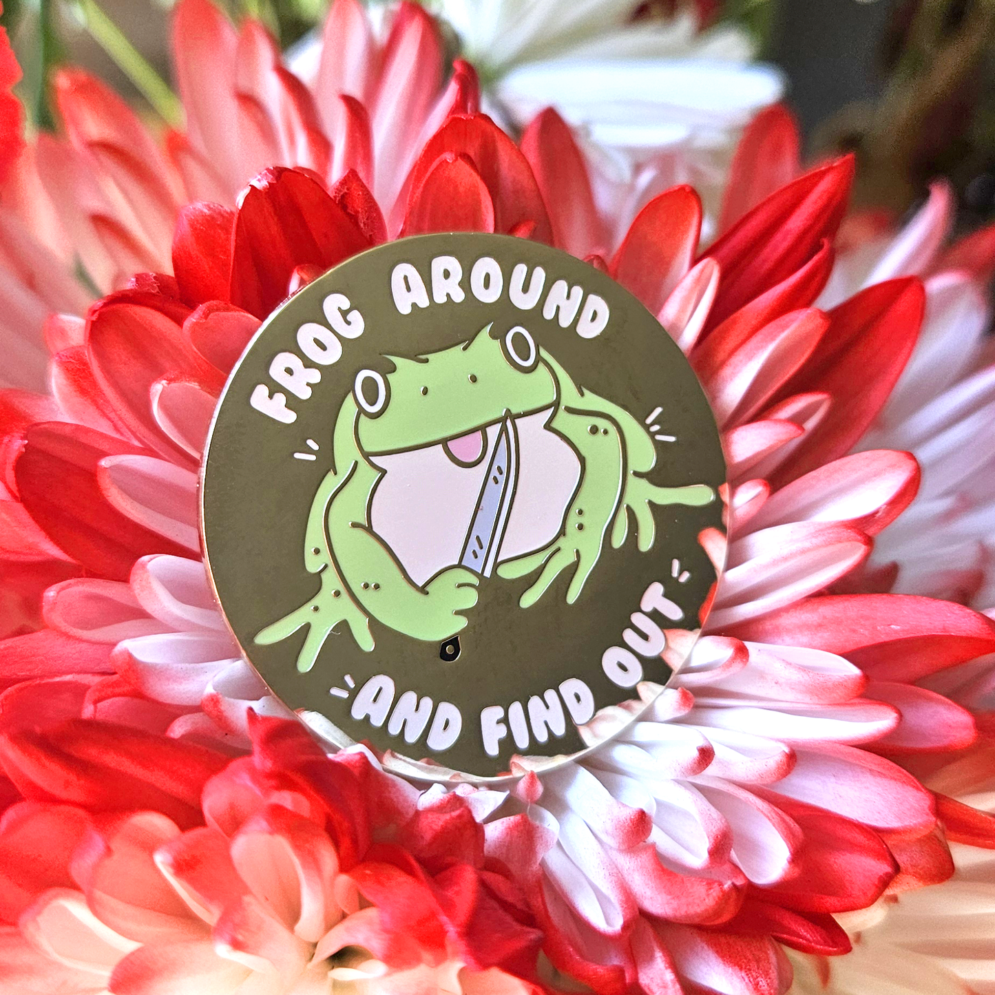 Frog around and find out - Pin Club - Concordia Style Boutique