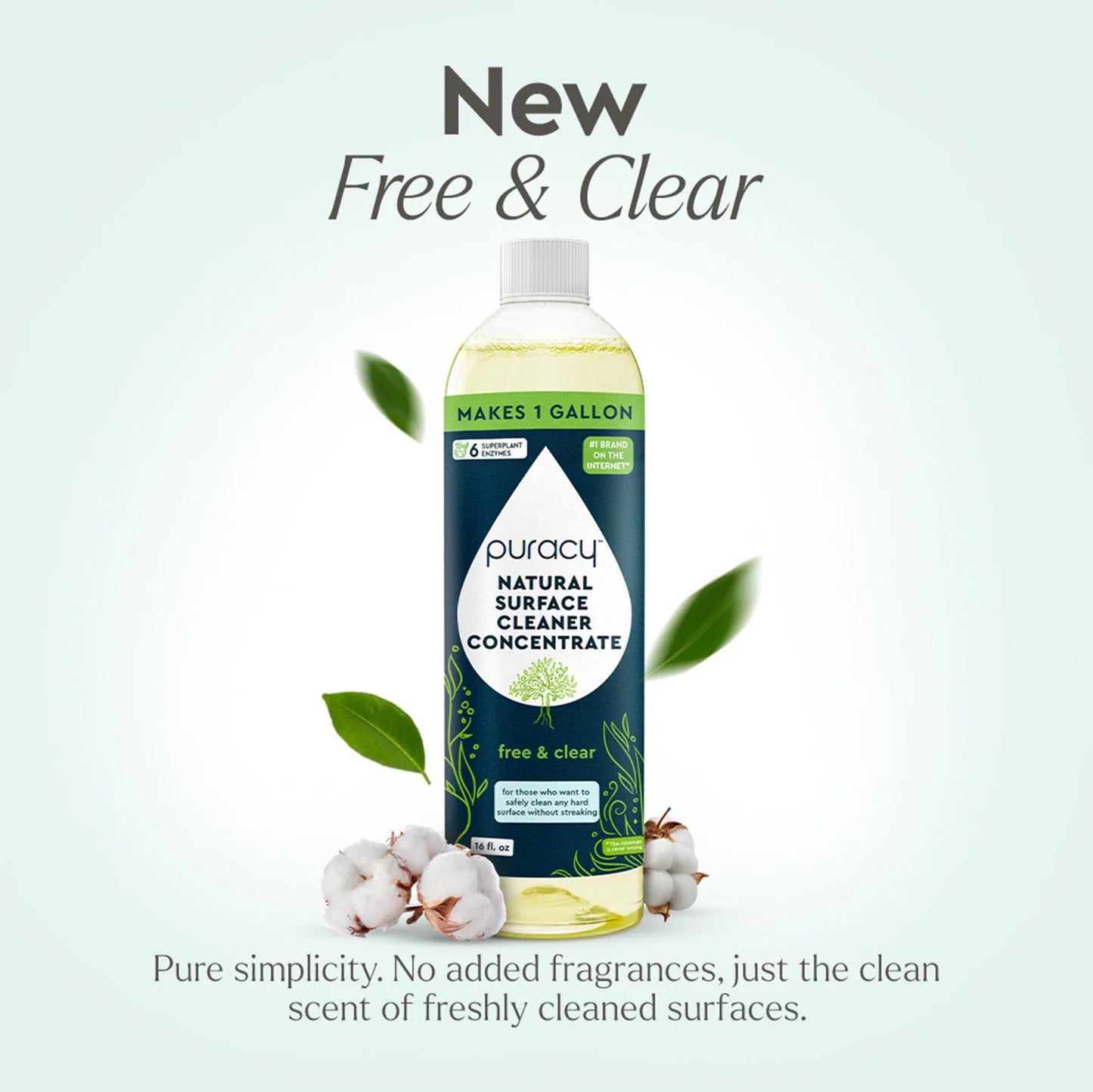 Everyday Multi-Surface Cleaner - Concordia Style Boutique