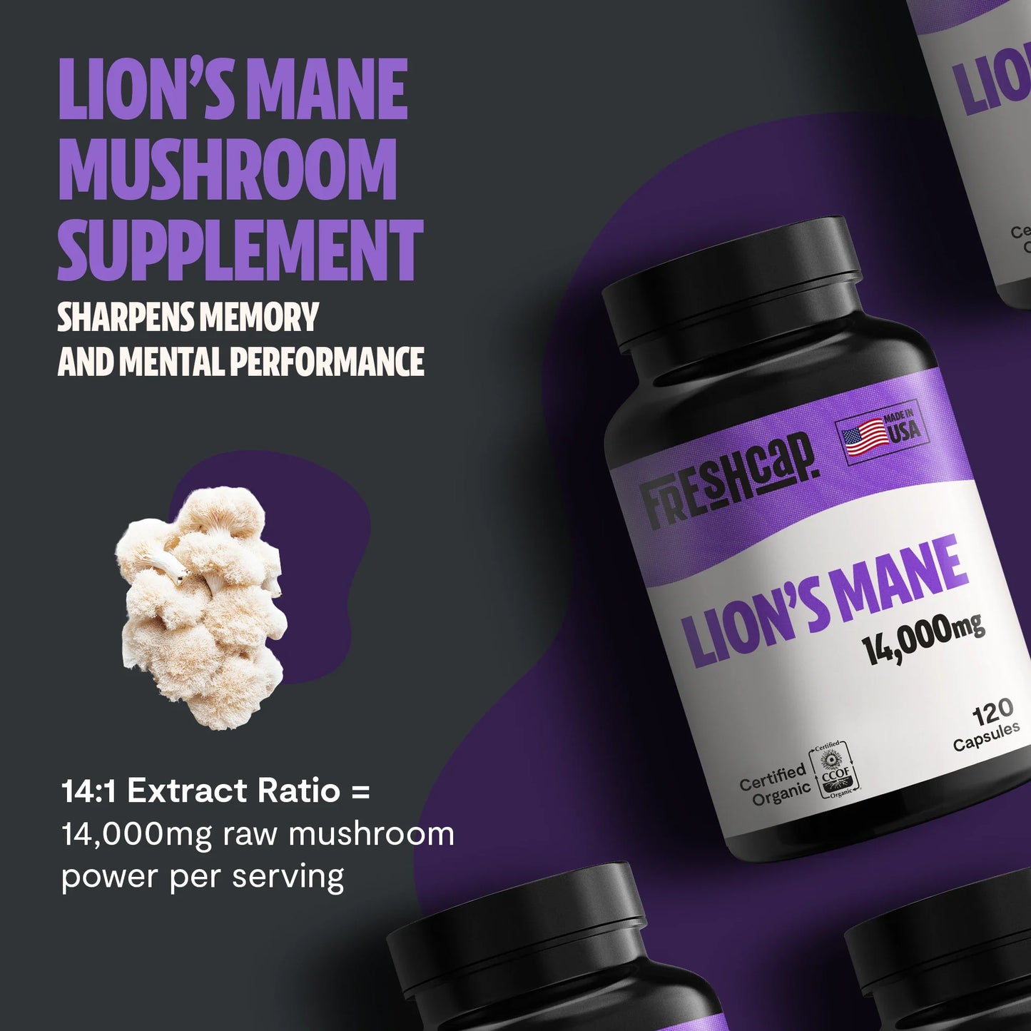 Lion's Mane Mushroom Extract Capsules - Concordia Style Boutique