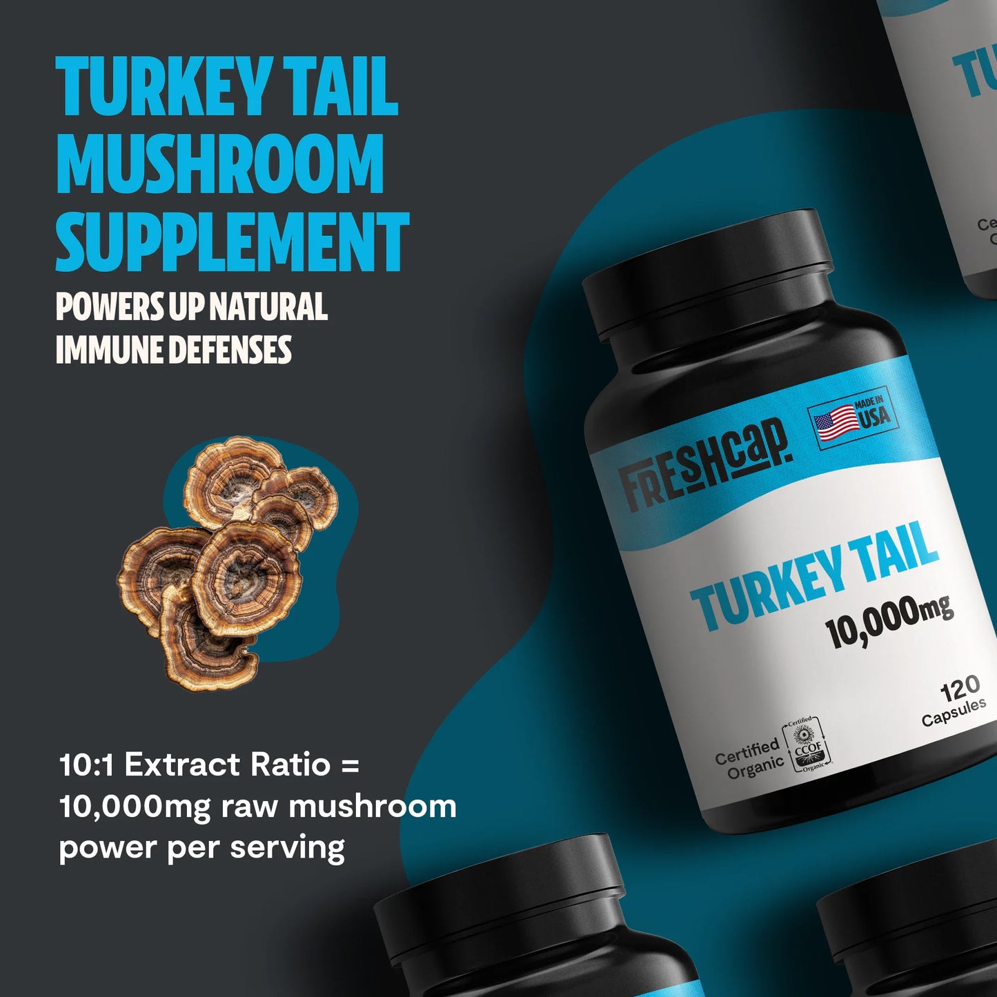 Turkey Tail Mushroom Extract Capsules - Concordia Style Boutique