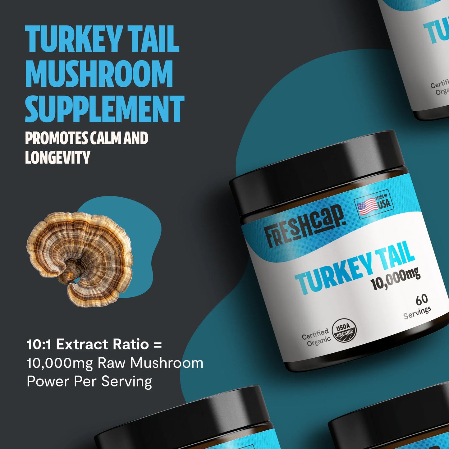 Turkey Tail Mushroom Extract Powder - Concordia Style Boutique