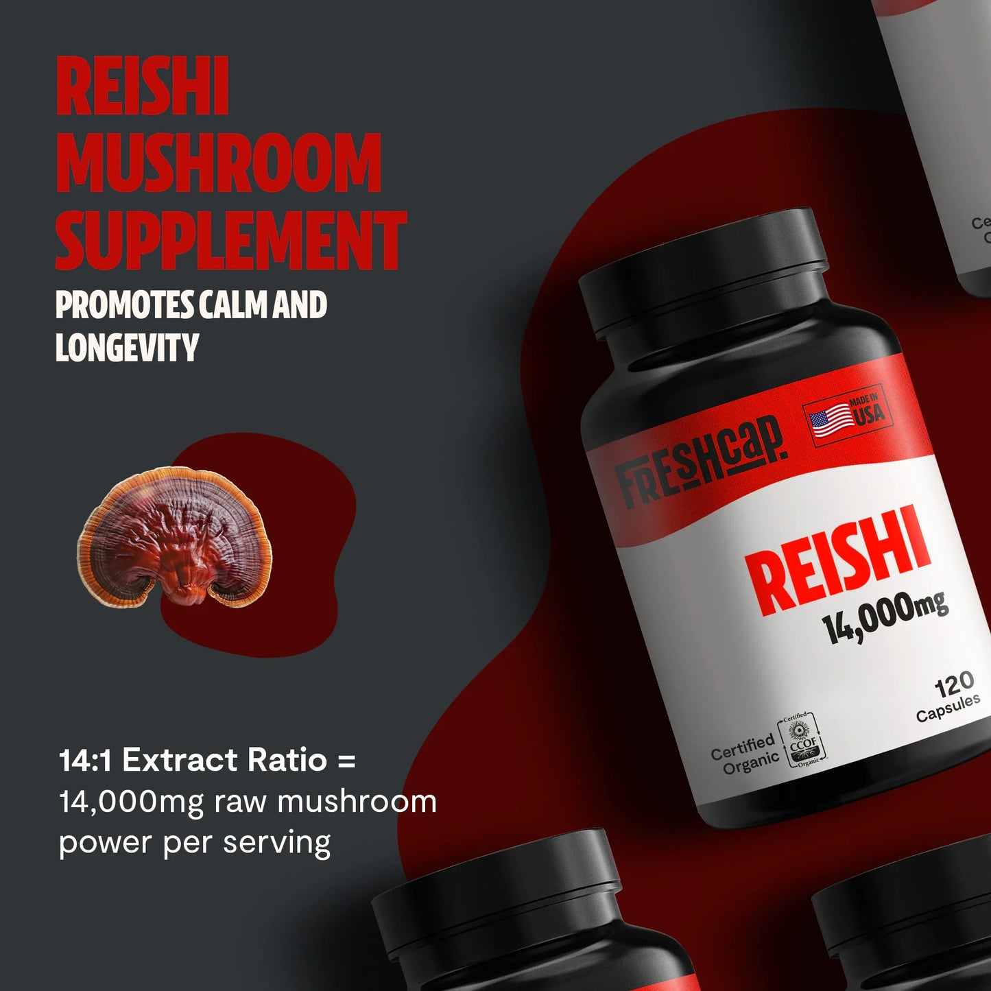 Reishi Mushroom Extract Capsules - Concordia Style Boutique