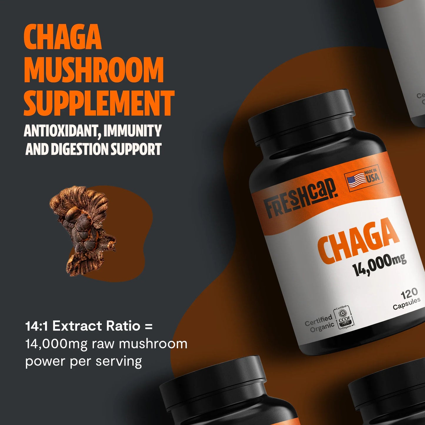 Chaga Mushroom Extract Capsules - Concordia Style Boutique